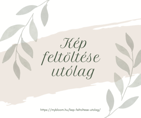 Kep feltoltese utolag