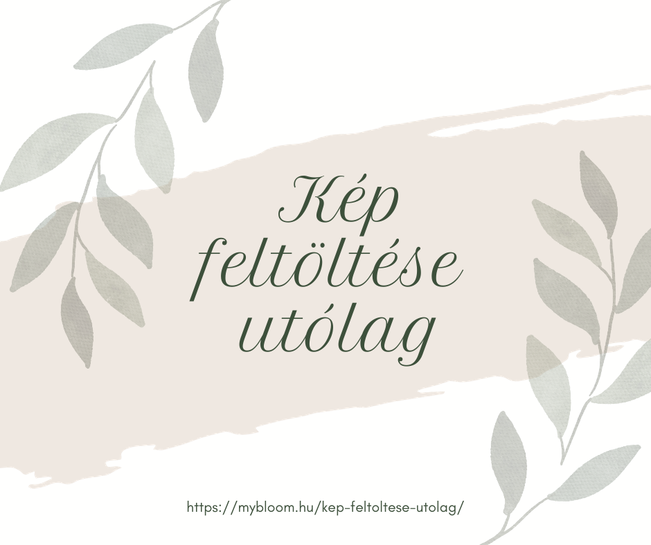 Kep feltoltese utolag